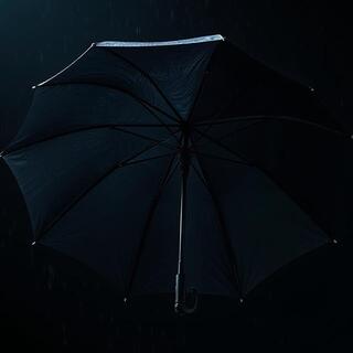 Storm umbrella with reinforced ribs