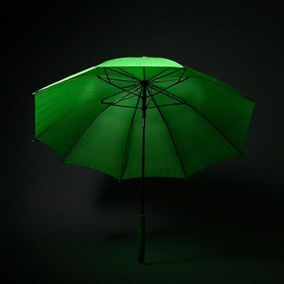 Forest travel umbrella