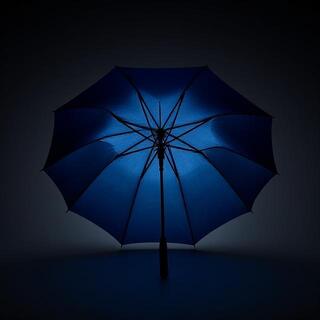 Navy city umbrella