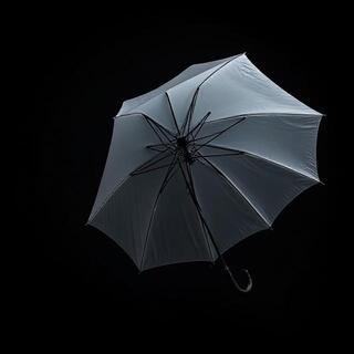 StormGuard Pro umbrella close-up